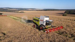 NEW Claas Lexion 6600 (650) & Vario 770 !! Colza/Oil Seed rape harvest 2019 !!  