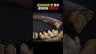 20000년 전 희귀 코끼리의 감정가!