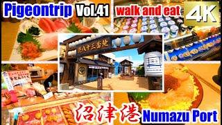 Numazu Port【Japan travel and sightseeing】沼津港