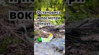 Остановись и посмотри вокруг…
