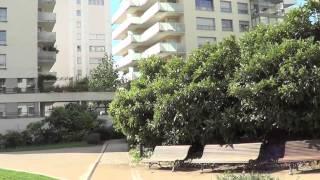 Grow Paradise TV #18 Loquat Food Forest in Paris