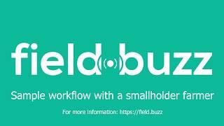 Sample workflow of the Field Buzz software with a smallholder farmer