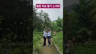 사랑은 이렇게 생겼쓸거야  숟가락 난타 달인 정부자 교수와의 우정 #평창 #허브나라농원 #야유회 #나이뻐 #사랑은어떻게생겼쓸까 #김용빈 #화숙tv