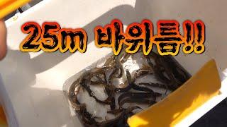 대왕 미꾸라지를 바위틈에 넣으니 낚시대 냅다 꼬라 박힌다!/Sea fishing competition!!