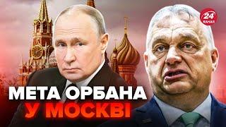 ОРБАН ошарашил ПУТИНА в МОСКВЕ! Как ВЕНГРИЯ вляпалась в новый скандал?