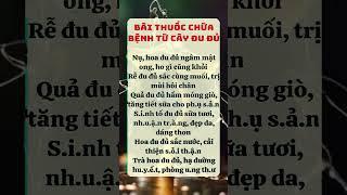 Chăm Sóc Sức Khỏe Toàn Diện – Kiến Thức Dinh Dưỡng  Lối Sống Lành Mạnh | Cộng Đồng Sức Khỏe #suckhoe