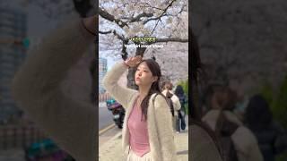 아직도 모자이크하세요? 여친만 선명한 벚꽃 인생샷 건지는 방법 #벚꽃구경 #사쿠라 #cherryblossom