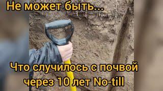 что случилось с почвой после 10 лет ноутил