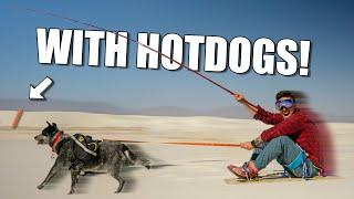 We Went Dog Sled Racing In The Desert!