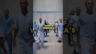 The Migrant Gang that everyone should be aware of - Joe Rogan #joerogan