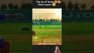 #the art of Yorker#bumrah Yorker#cricket #ipl #short