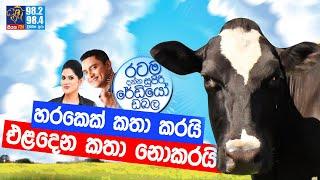 @Siyatha FM MORNING SHOW-2021 10 05 | හරකෙක් කතා කරයි. එළදෙන කතා නොකරයි