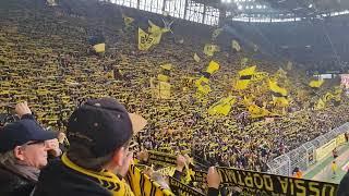 #ynwa #bvb #dortmund #ดอร์ทมุนด์ #bundesliga #bvbsge