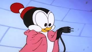 Every Episode of Chilly Willy ️ 3 Hour Holiday Marathon | The New Woody Woodpecker Show