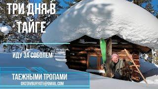 Промысел соболя в тайге Сибири. Будни охотника. сезон 2023