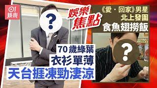 70歲金牌綠葉天台捱凍狂震 曾欠債2球狂接騷｜《愛．回家》男星曾做飲食大亨 北上發圍食魚翅撈飯｜瓊瑤｜范冰冰 ｜林峯｜張馨月 ｜湯洛雯｜馬國明 ｜趙世曾豪宅｜ 12月16日娛樂新聞 #今日娛樂 香港