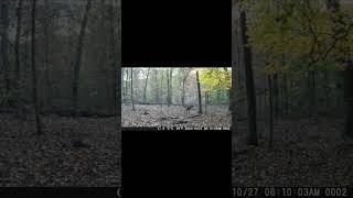 Switching over to a bigger field of content hope you guys will stay with :)#hunting #deerhunting