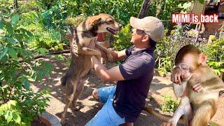 BiBi & Dad were choked up and happy because MiMi the dog had returned home