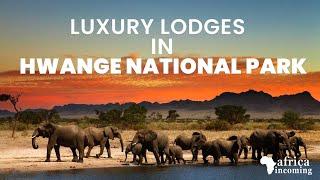 Luxury Safari Lodges in Hwange National Park | Authentic Zimbabwe Safari | Africa Incoming