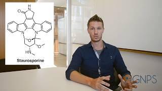 GNPS - MASST - Box8 Natural Product Analogs Example