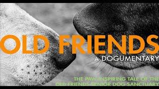 Old Friends: A Dogumentary (2022) | Free Full HD Documentary