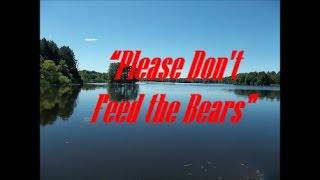 “Sty Stories” – “Please Don’t Feed the Bears!”