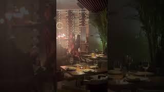 Rosanegra Restaurant - “The Entertainment” - Miami, Florida