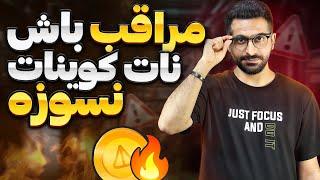 نات کوین هاتو به فنا ندی ! خبر مهم برای نات کوین | از فاز سوم نات کوین جا نمونی !