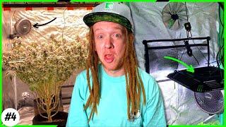 7 Essential Grow Tent Setup Tips