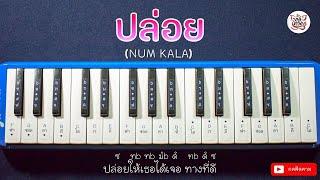 โน้ตเพลงปล่อย - หนุ่ม กะลา Cover เมโลเดียน By Somwang