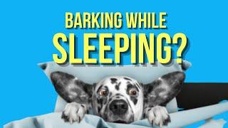 Why Do Dogs Bark In Their Sleep: (Should You Be Worried?)