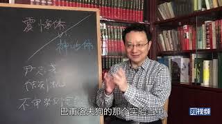 科技袁人Lite027：不是無腦吹就是低端黑，到底能不能好好聊聊中國科技？