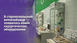 В старооскольской ветлечебнице появилось новое хирургическое оборудование