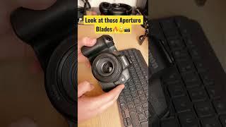 Canon EOS R Paired with the BEST Lens! #canon #photography