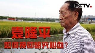 一夜之间秧苗被毁！袁隆平如何挽回杂交水稻研究心血？20220517 |《国家记忆》CCTV中文国际