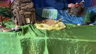 Rawé:ras Raksá:’a (Thunder boy -Traditional story in Kanyen’kéha)