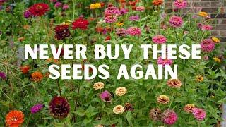 How to Turn One Zinnia into a Zillion