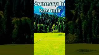 Sonmarg In kashmir #travel #sonmarg #travelkashmir  #trendingvideo