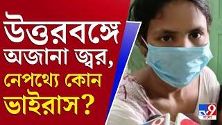 আপনার খবর | নজরে অজানা জ্বর, কালপ্রিট কোন ভাইরাস? | Jalpaiguri News |