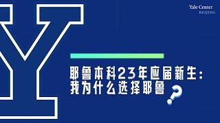 那些耶鲁本科生 | 我为什么选择耶鲁？