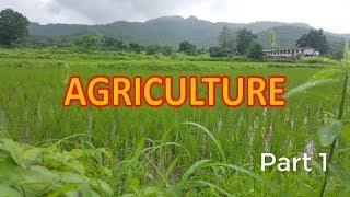 Agriculture Class 10 CBSE Geography (part 1)