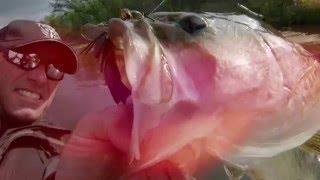 Beating the Bank for Bucket Mouths - Dave Mercer's Facts of Fishing full episode Season 8 Episode 5
