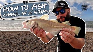 How To Fish Chesil In A Storm | Bagging Up! Fishing With Wayne | We've Gotta Chance! 