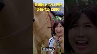 '위장수사' 배우들, 약 빨고 만든 '범죄도시' 패러디 (feat.초롱이) 