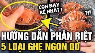 Người phụ nữ hướng dẫn PHÂN BIỆT GHẸ NGON khiến nhiều người VỠ LẼ | Tin 3 Phút