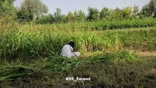 Joyful moments in the village .                      #afghanistan#foryou#village#life #viralvideo