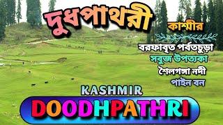 DOODHPATHRI Kashmir | Offbeat | Green Valley | দুধপাথরী