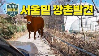 당연히 곧 개발되겠죠. 하지만 지금은ㅠㅠ (마을답사 033)