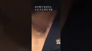 윤미향의 건강 비법