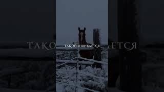 Говори благое либо молчи. Тому, кто избавится от пустой болтовни будет подарена мудрость Наставление